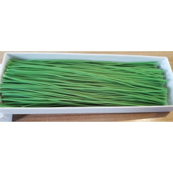 2WOSKOWE PROFILE 1.0 mm