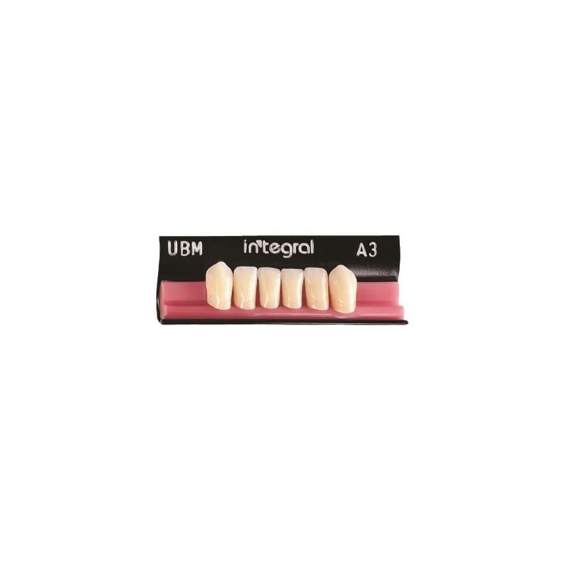 Integral Merz Dental zęby przednie dolne – 3-warstwowe zęby akrylowe pełnoanatomiczne do protez premium
