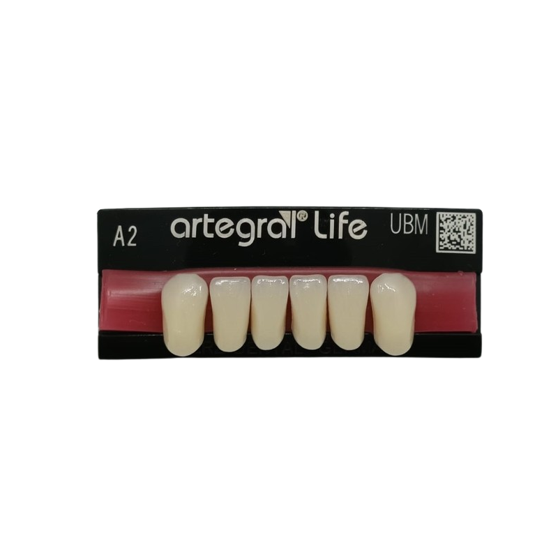 Artegral Life zęby przednie dolne - Biomechaniczna perfekcja i okluzja funkcjonalna