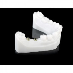 2Żywica do drukarki 3D SHERAprint Model UV Smoky White 500g – dentystyczna