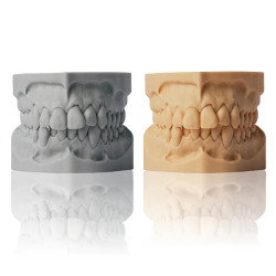 SHERAprint-model plaster –...