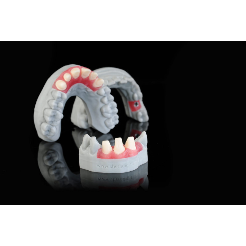 SHERAprint-gingiva 500g