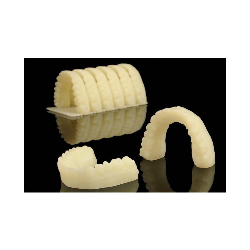 SHERAprint-model fast - na szybkie modele 1000g