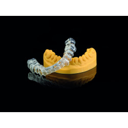 2SHERAprint-ORTHO PLUS UV
