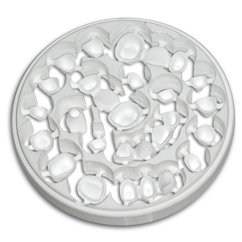 Zirkon BioStar white opaq