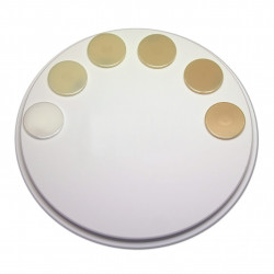 2Zirkon BioStar white opaq